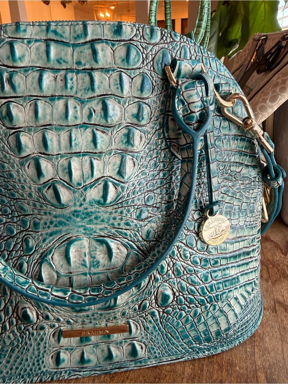 Mineral Blue Dome Brahmin